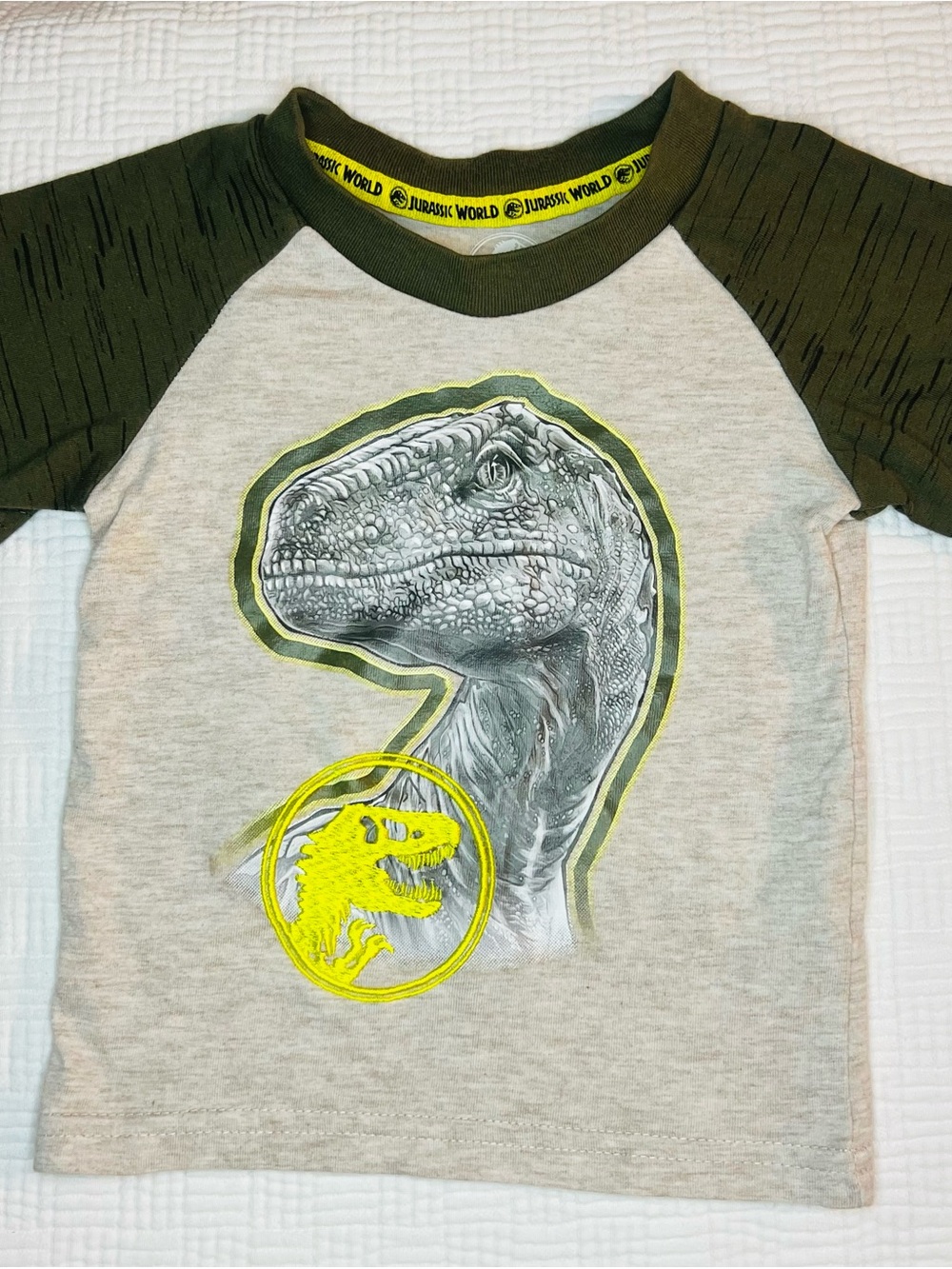 Jurassic World Boys Gray & Olive Dino Raglan Tee SZ 12 Months